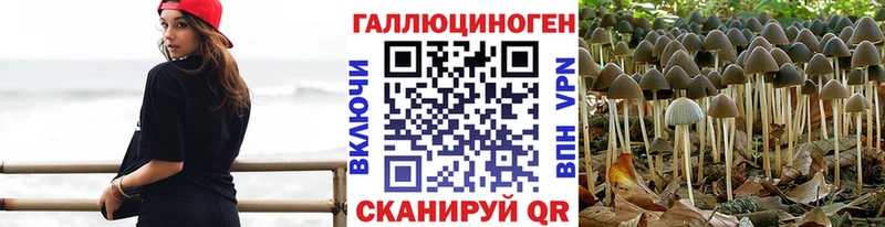 Псилоцибиновые грибы Psilocybe  Волоколамск 